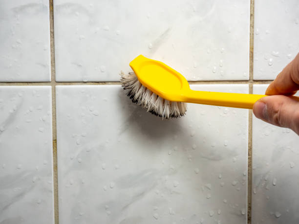 Professional Mold Removal in Portland, OR