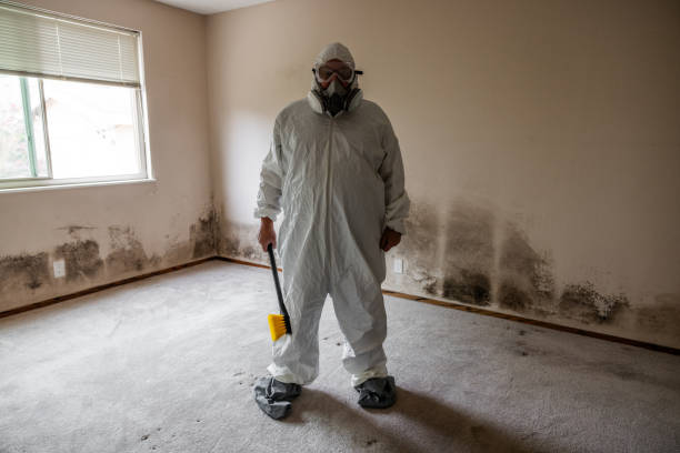 Professional Mold Removal in Portland, OR